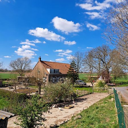 “In Oans Oefje” Parel In De Polder! Apartment Lewedorp Exterior foto