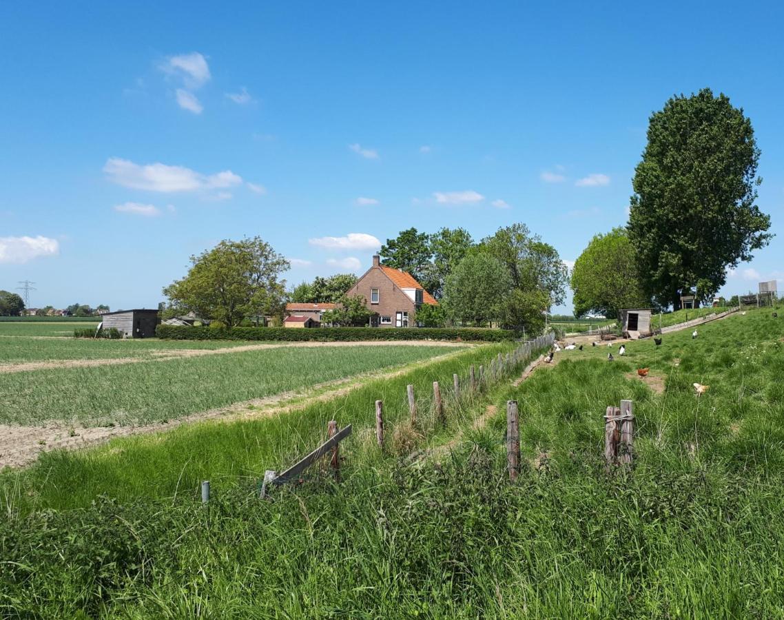 “In Oans Oefje” Parel In De Polder! Apartment Lewedorp Exterior foto