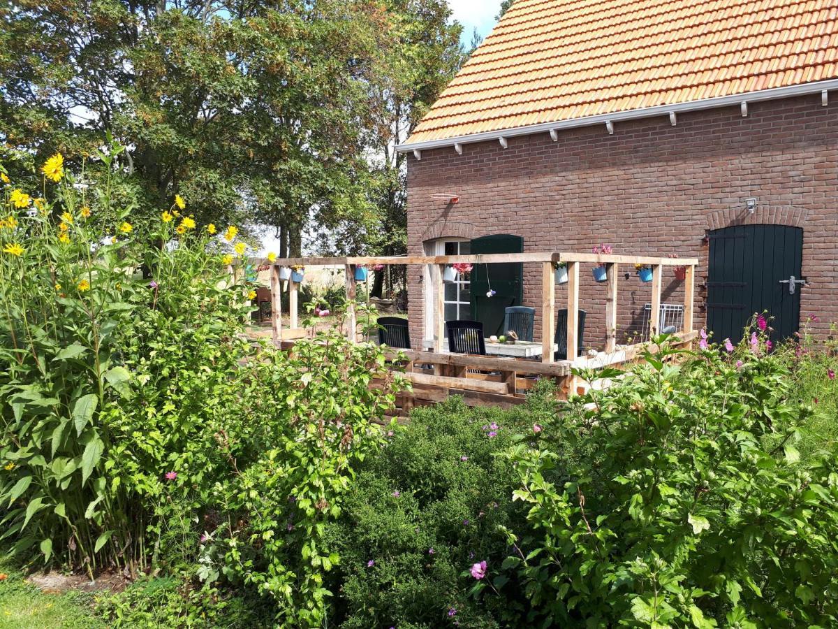 “In Oans Oefje” Parel In De Polder! Apartment Lewedorp Exterior foto
