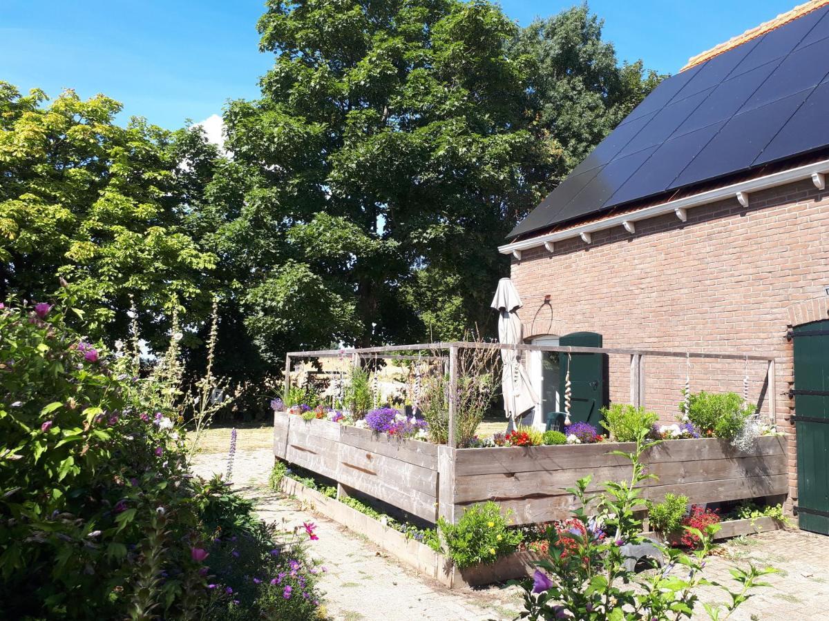 “In Oans Oefje” Parel In De Polder! Apartment Lewedorp Exterior foto